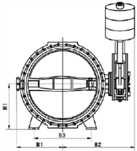  HD7B41X重錘式液控蝶閥外形尺寸圖
