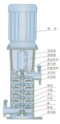 lg-2