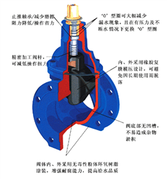 暗桿彈性座封閘閥